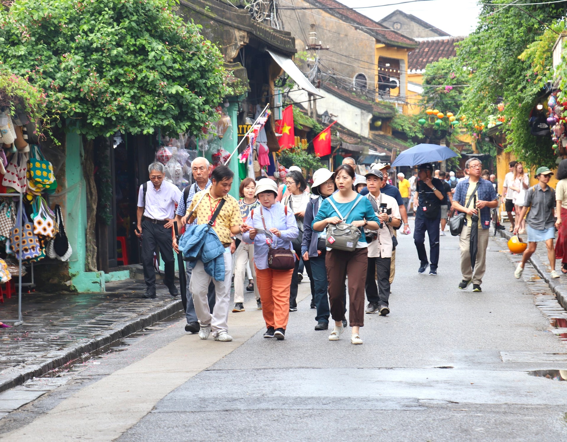 Hoi An tourism industry in 2024