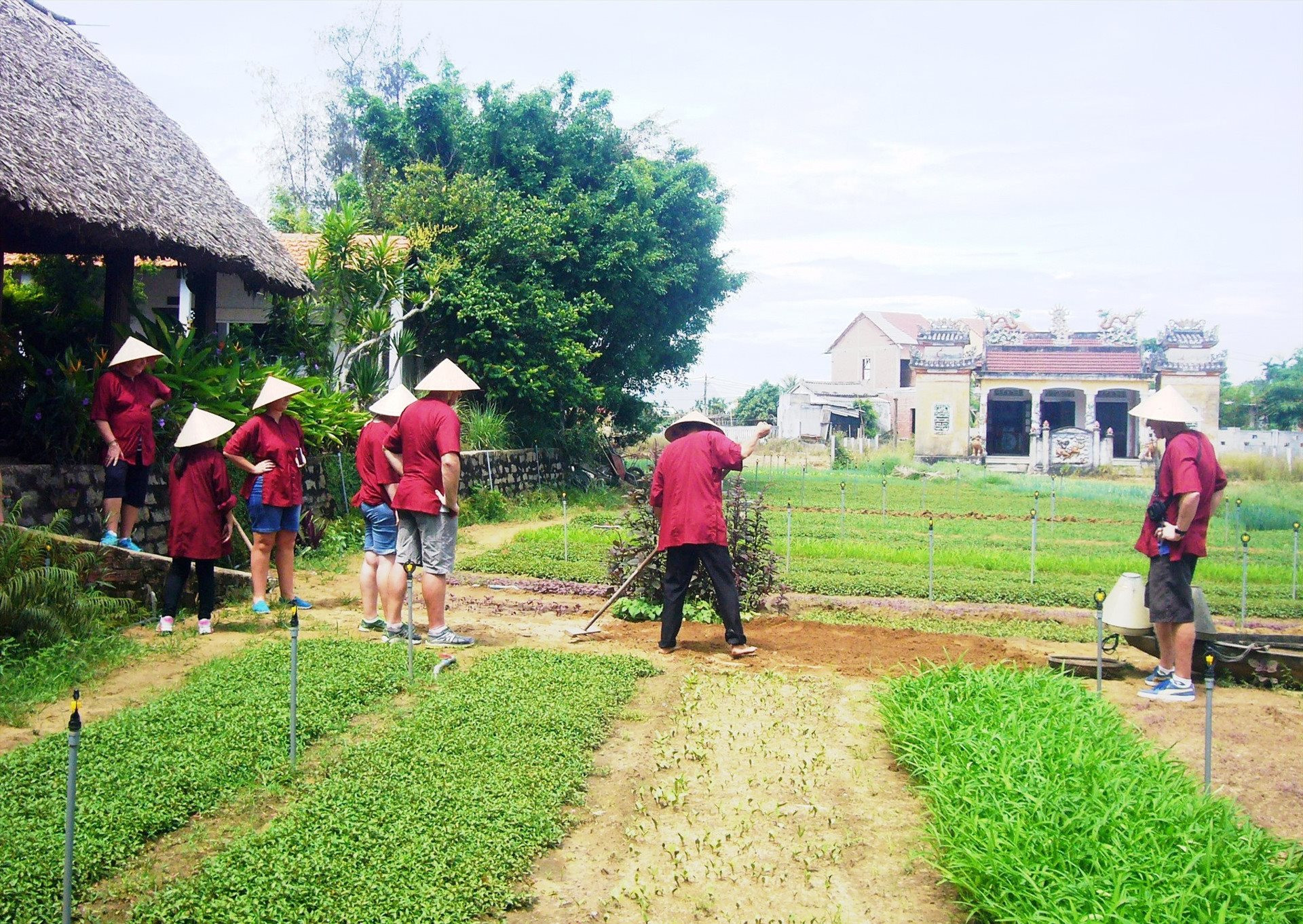 Agritourism in Hoi An