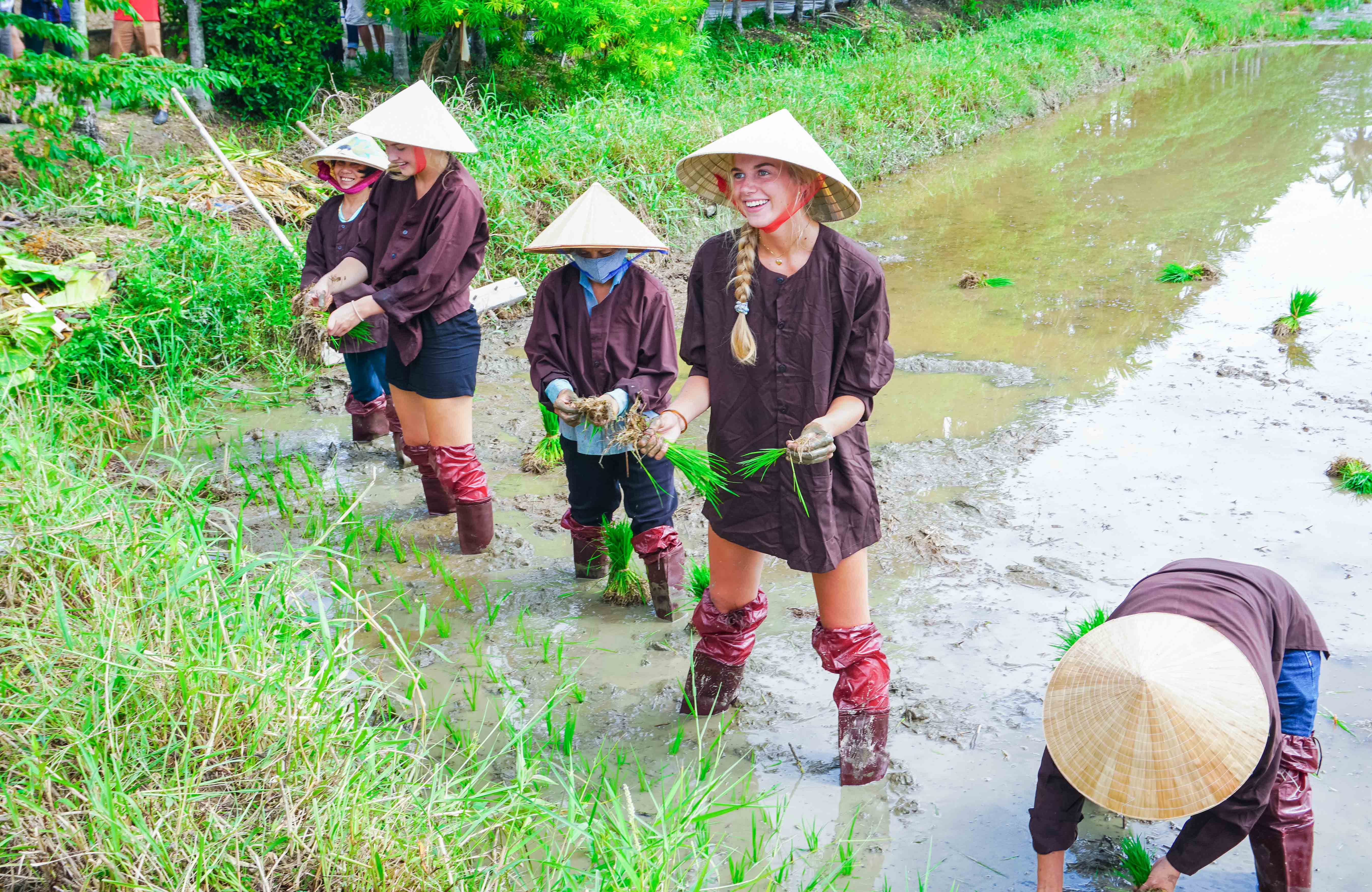 Độc đáo “lễ hội xuống đồng” tại làng quê An Mỹ - Hội An