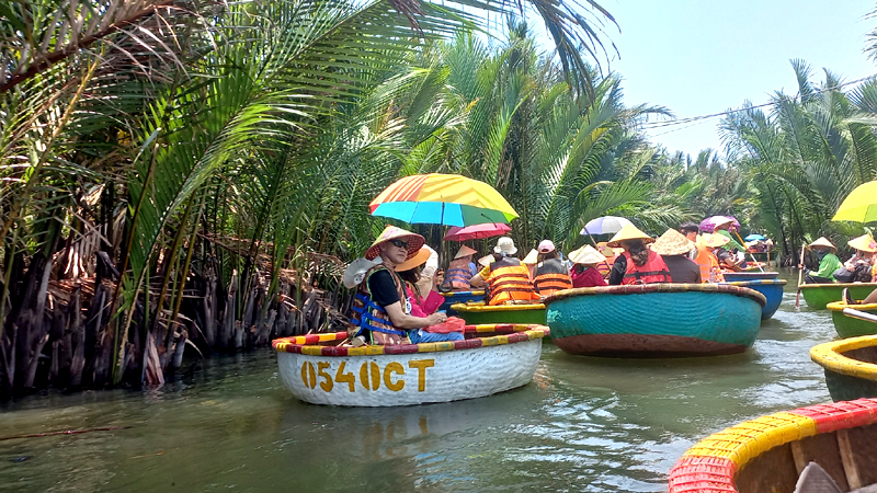 Tour sinh thái rừng dừa Cẩm Thanh